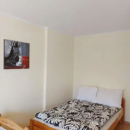 Kobranocka Guest house *